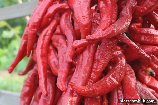 电子游戏平台亏损补偿与盘口分析实战手册：理性参与的风险控制策略